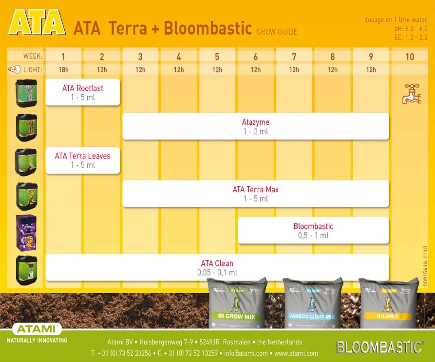 Tabla Ata Terra Bloombastic