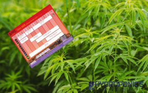 Grow Guide: B’Cuzz Coco A&B + Blossom Builder Liquid