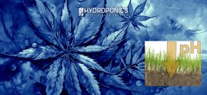Cómo Neutralizar un Sustrato Alcalino para el Crecimiento Óptimo de Tus Plantas