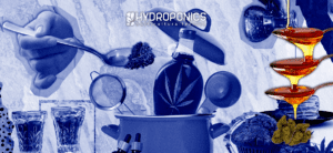 Cómo Preparar Sirope de THC en Casa