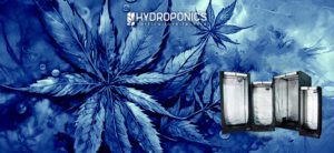 Comment choisir les meilleurs armoiries pour la culture de la marijuana ?