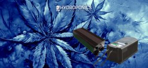 Comparing Electronic and Magnetic Ballasts for Growing Cannabis: What are the Key Differences?