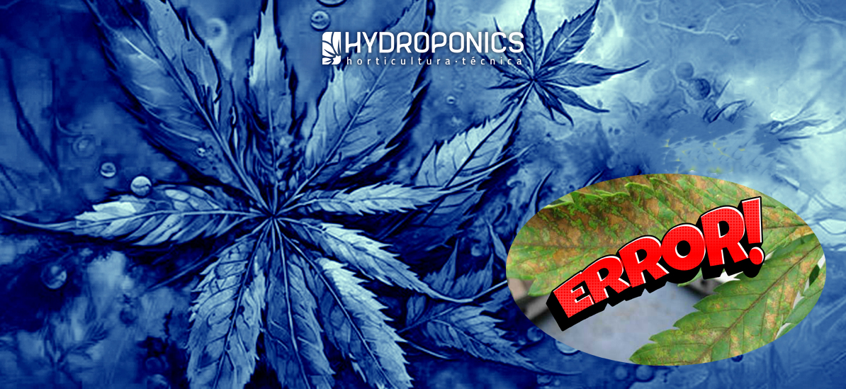 Errores Comunes en el Cultivo de Marihuana