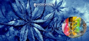 Bongs: Tipos, Usos y Pros y Contras de Cada Uno – ¿Bong o Porro? Diferencias y Cuál Elegir