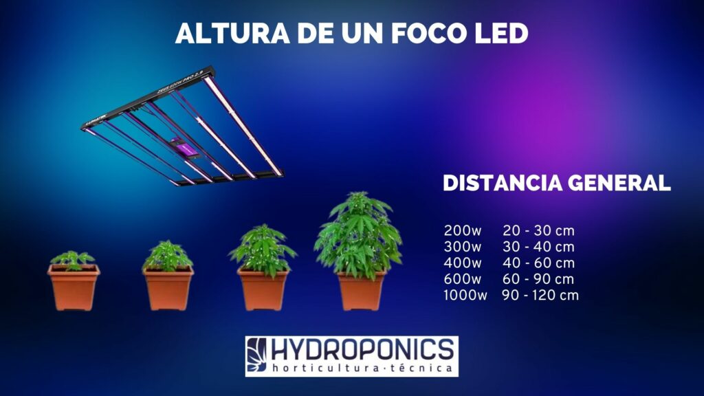 Indoor Marijuana Cultivation