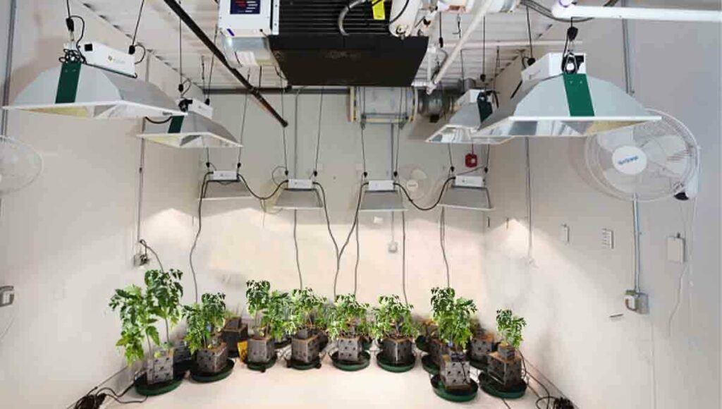 Climatisation dans la culture intérieure