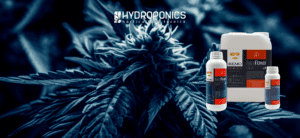 Remo Products for Flowering Marijuana Plants