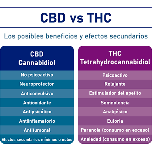 Differences between CBD and THC