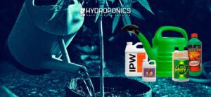 How often to water with fertilizer: Basic guide