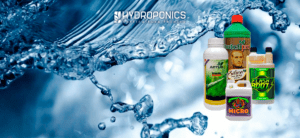 Engrais liquides : comment et quand les appliquer pour des résultats optimaux
