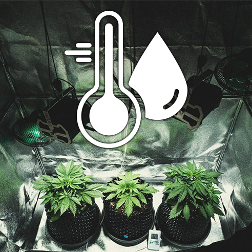Micro greenhouse climate