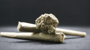 How to set up your first indoor grow tent step by step