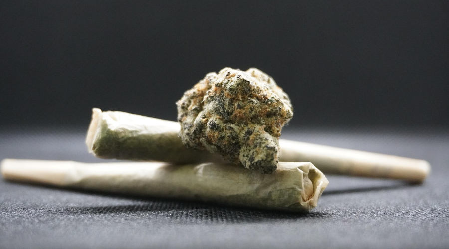 Cogollos de marihuana extraídos de armario de cultivo indoor