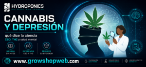 Cannabis y depresión: qué dice la ciencia