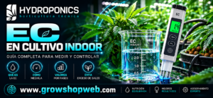 EC en cultivo indoor: qué es, cómo medirla y valores por fases