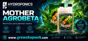 Mother de Agrobeta: Nutrición para plantas Madre