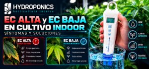 EC alta y baja en cultivo indoor