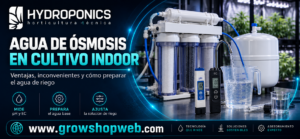 Reverse Osmosis Water for Indoor Growing: Advantages, Disadvantages and How to Prepare Irrigation Water