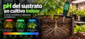 Substrate pH in Indoor Growing: How to Measure It and Detect Problems