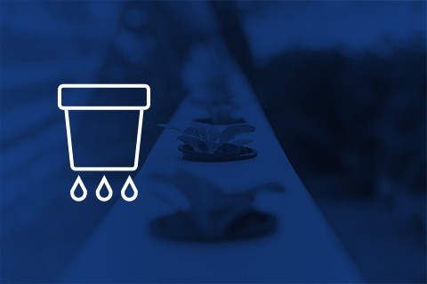 Hidroponia e aeroponia ✅ Sistemas de cultivos cannabis