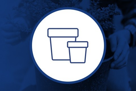 Acquistare Vasi per la coltivazione di marijuana ▷ Grow Shop Web Blanes