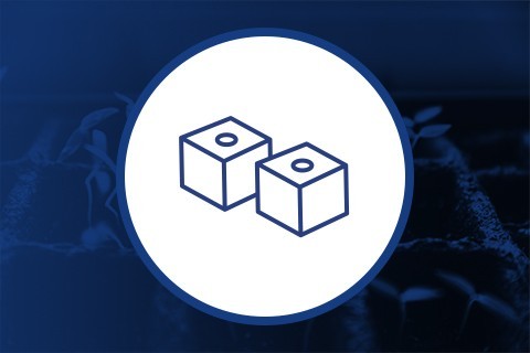 Lana de roca für Klone und Stecklinge ▷ Versand 24/48