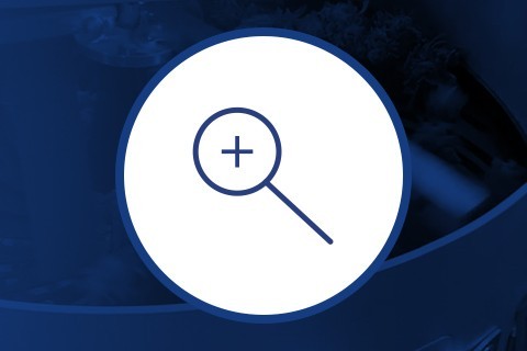 Microscópios e Lupas para maconha ✅ Microscópio para tricomas