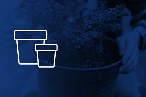 Pots et plateaux pour l'auto-culture de cannabis