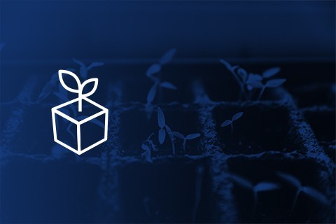 Accessori per coltivare Madri e Talee - Spagna