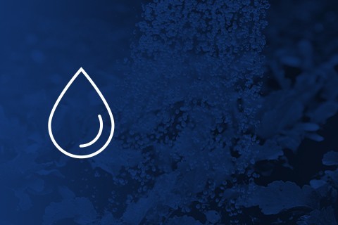 Irrigazione di cannabis ▷ Accessori per coltivazione indoor