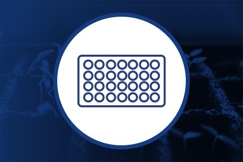 Germination Trays ▷ Discreet Shipping 24/48 hrs