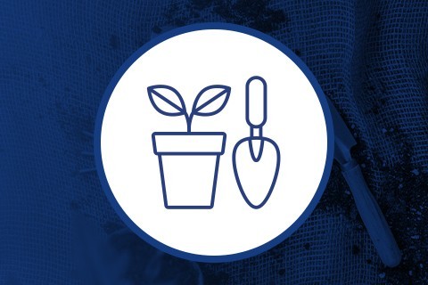Herramientas para Jardín y Cultivos de Interior - Hydroponics Blanes