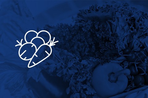 Garden Seeds at the Best Price - Hydroponics Blanes