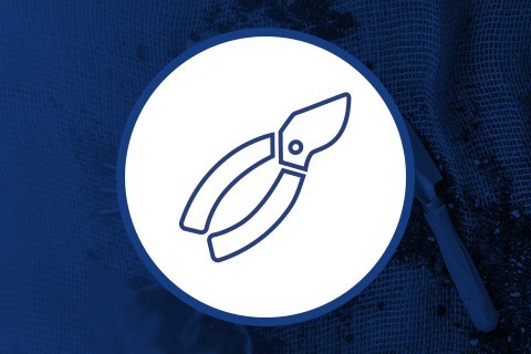 Werkzeuge für den Eigenanbau von Marihuana ▷ Hydroponics Blanes