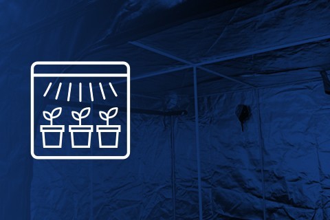 Armarios de cultivo Interior Marihuana ▷ Envio Gratis