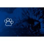 Animais de estimação