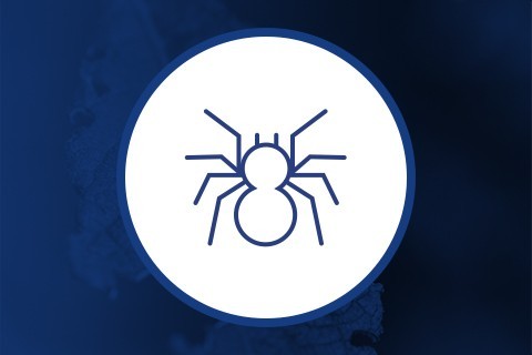 Insektizide für Eigenanbau Marihuana ✅ Hydroponik Blanes