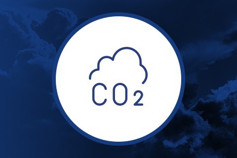 Productos CO2 para cultivo de marihuana ▷ Grow Shop Web