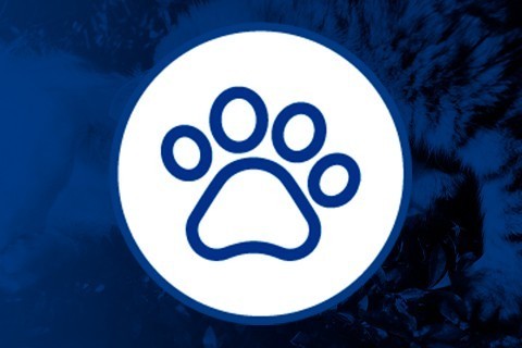 Otros Accesorios para Mascotas  ▷ Hydroponics Grow Shop Web