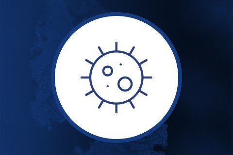 Anti-fungos para maconha - Hidropônica