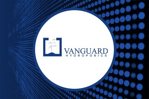 Lampadine Vanguard per coltivazione ▷ Grow Shop Web