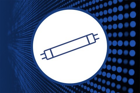 Leuchtstofflampen für den Anbau von Stecklingen ▷ Grow Shop Web