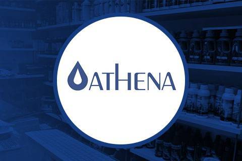 Armários de cultivo profissionais ATHENA. Especial para estacas