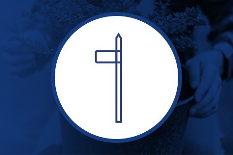 Acessórios para Vasos e Bandejas cultivo interior ▷