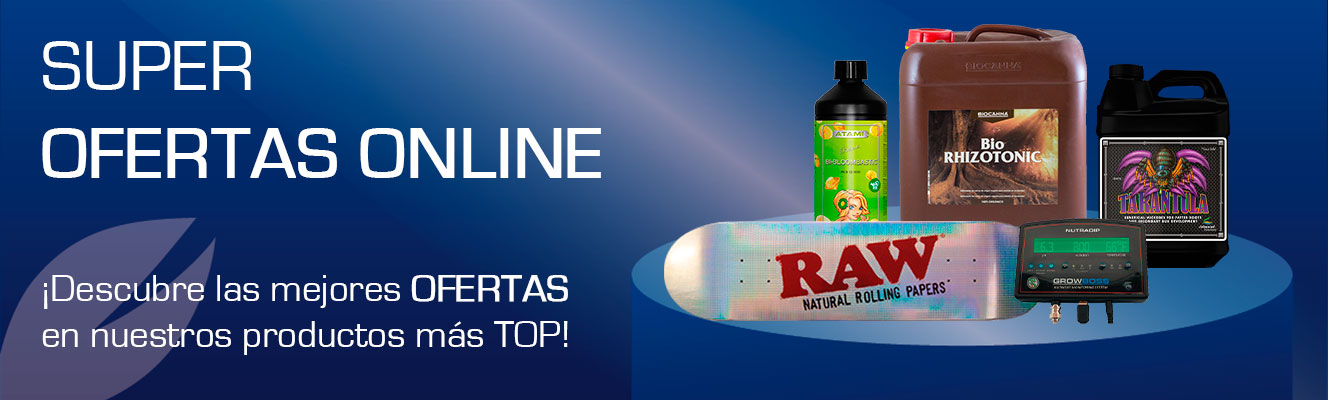Offer Banner