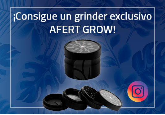 Slider Offer Banner