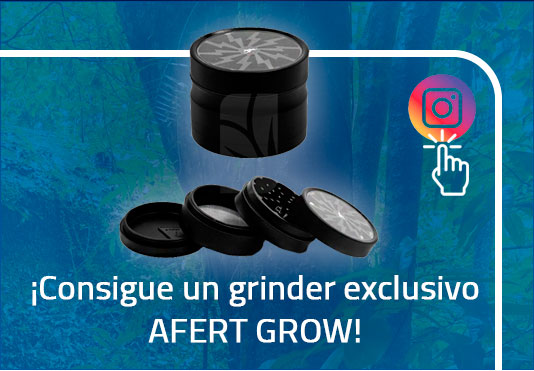 Slider Offer Banner